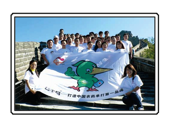公司部分员工游八达岭长城