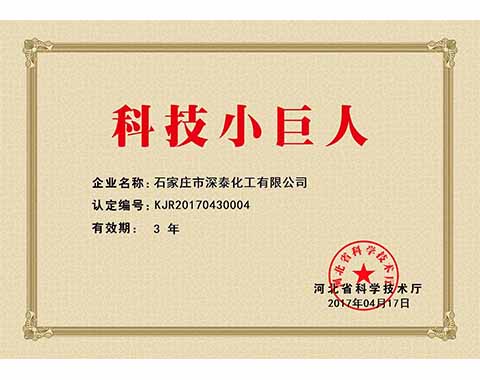 科技小巨人