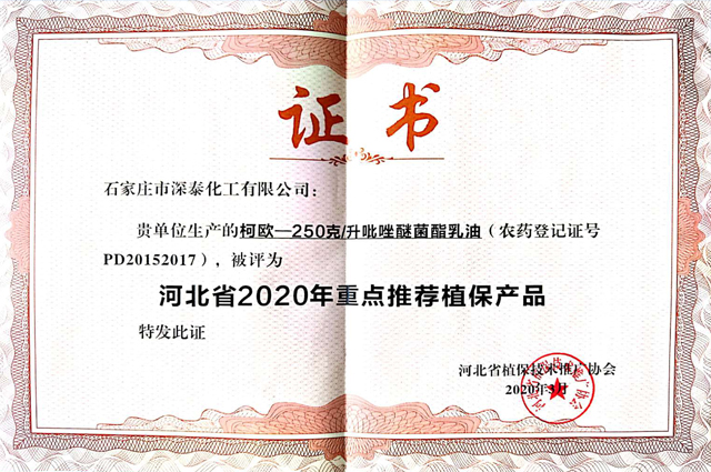 柯欧.jpg