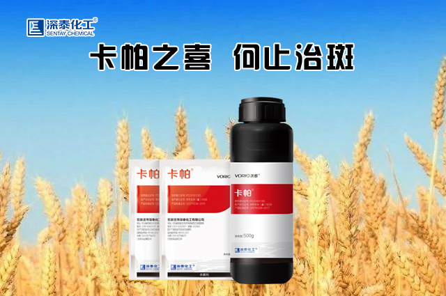 微信首页卡帕1211.jpg