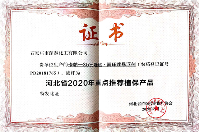 卡帕1211.jpg