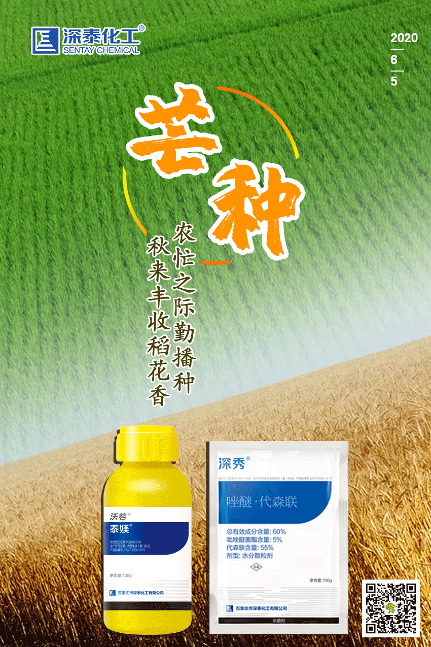 芒种6.png