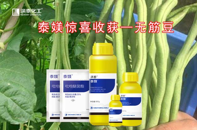微信首页泰美.jpg 微信首页泰美.jpg