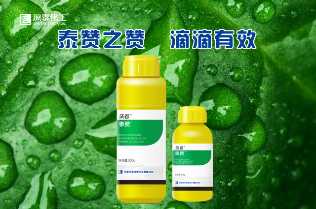 微信首页泰 赞.jpg 微信首页泰 赞.jpg
