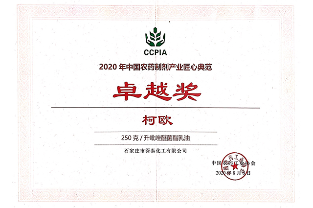 卓越奖.jpg