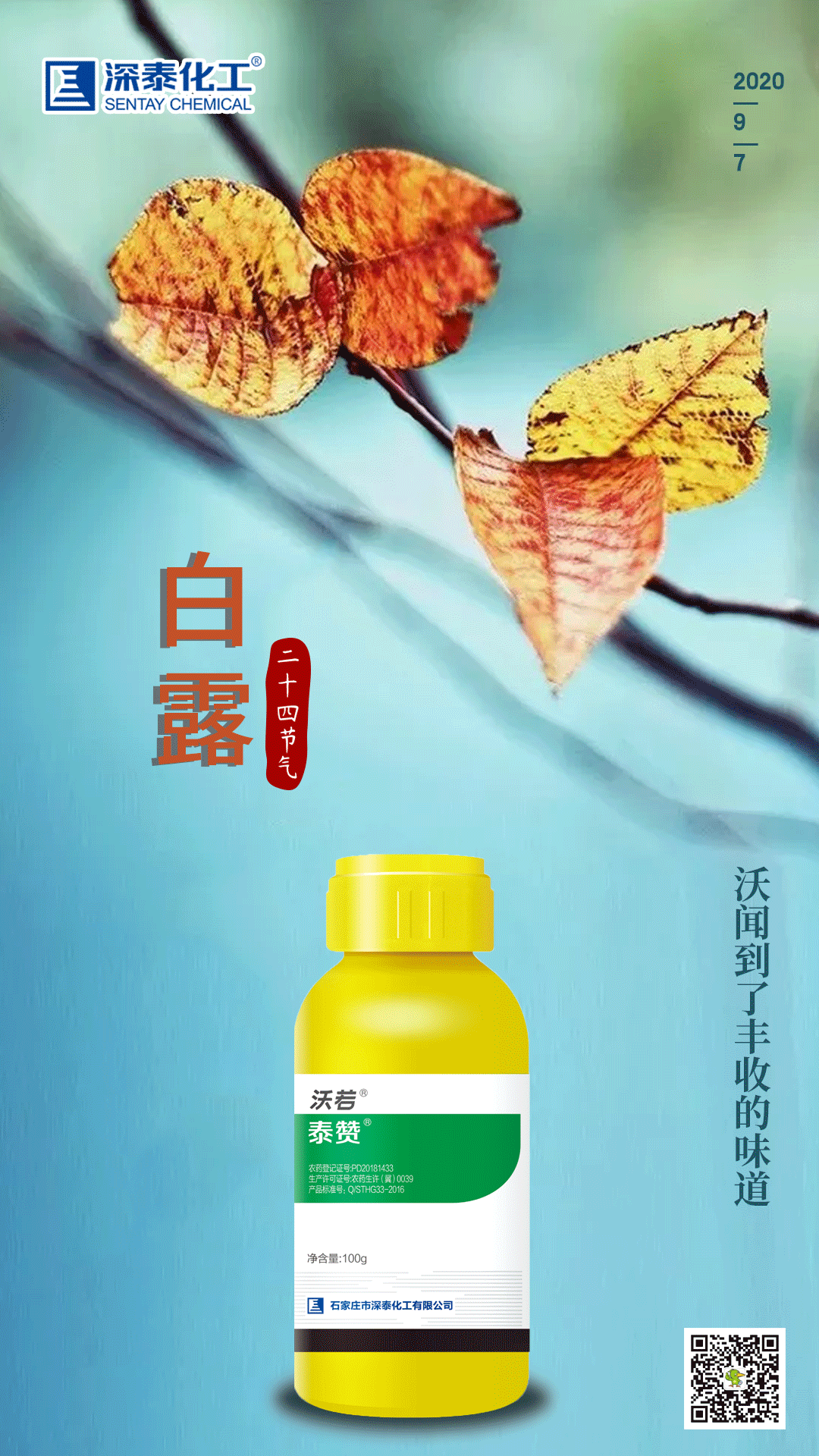 泰赞.png