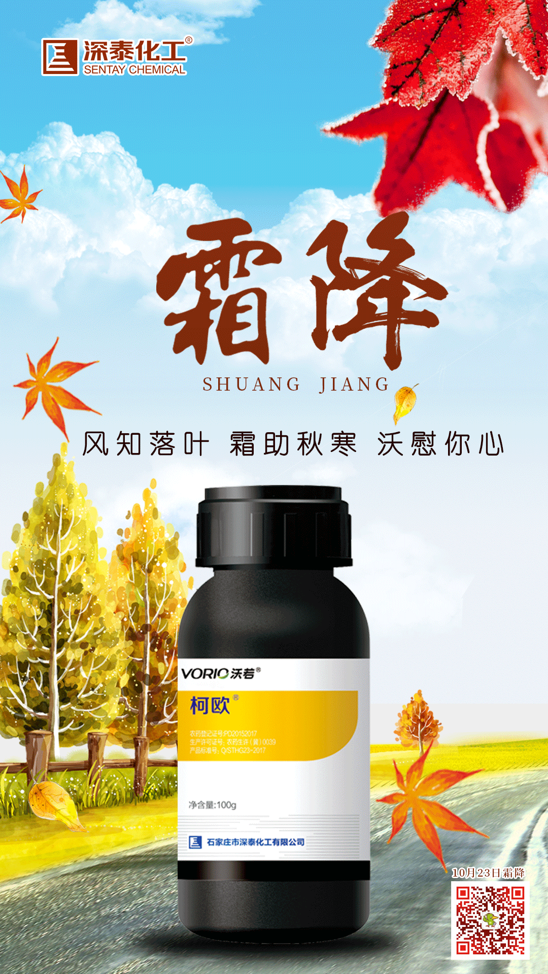 寒露柯欧.png