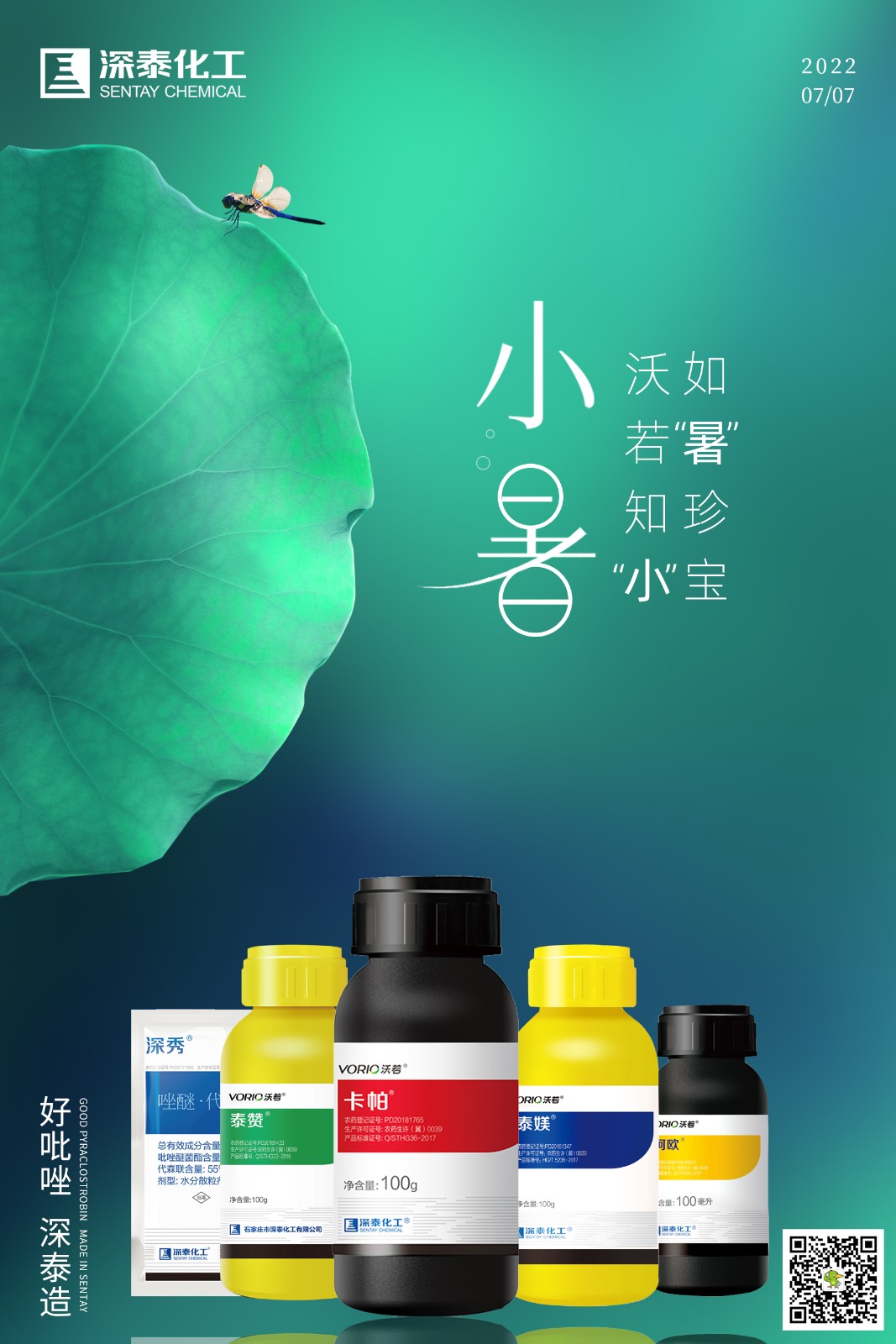 小暑.jpg