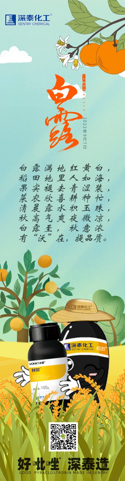 白露9.jpg