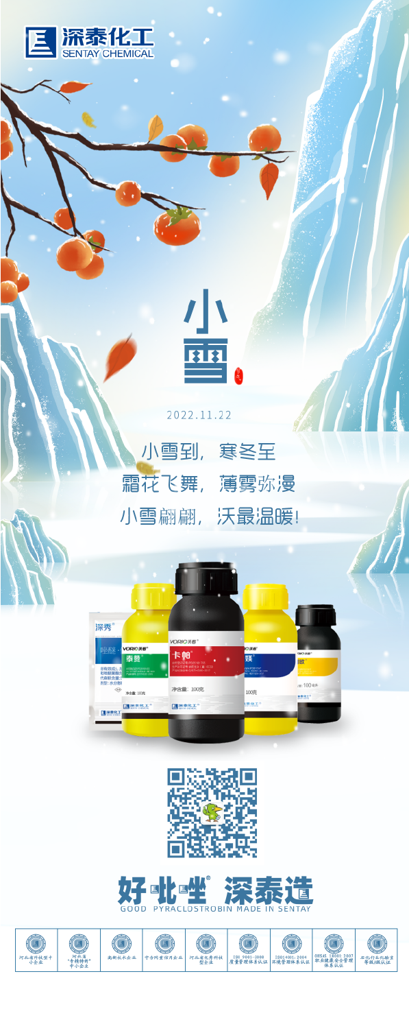 小雪-01.png