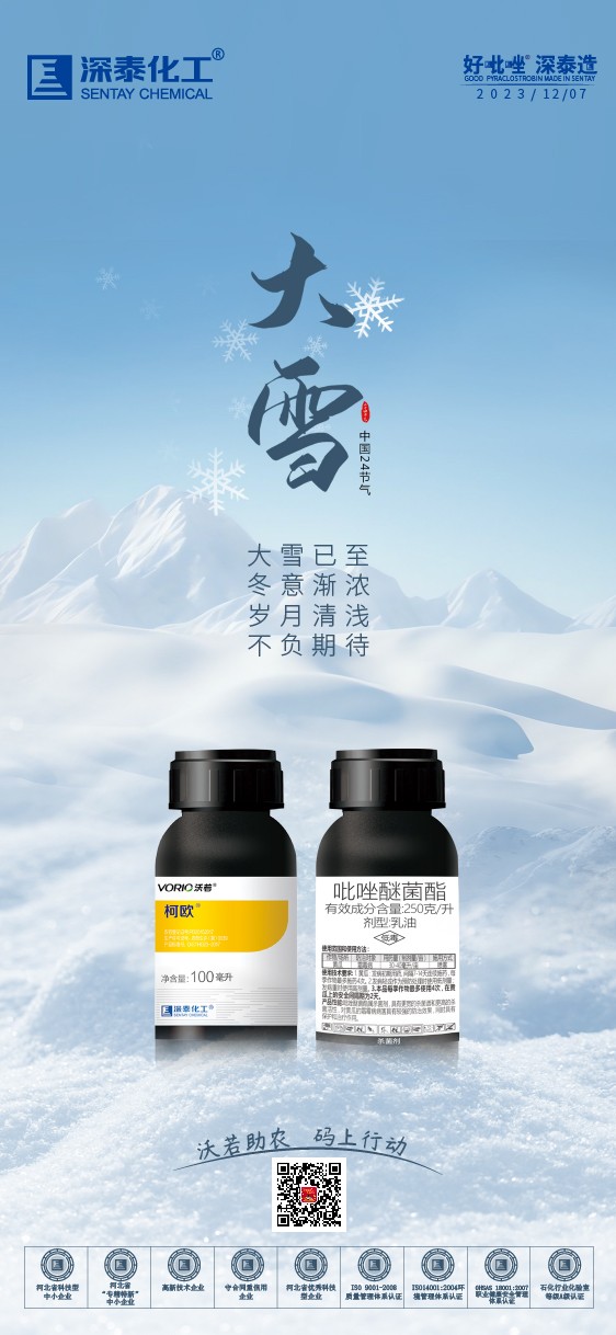 大雪-01.jpg