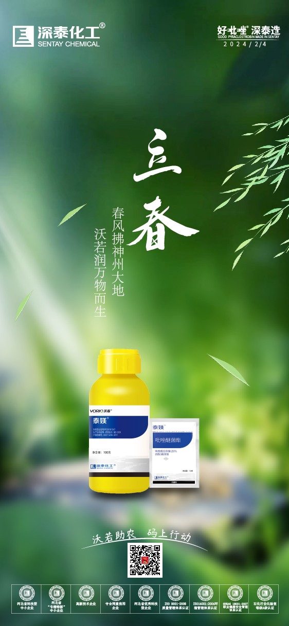 立春-01.jpg