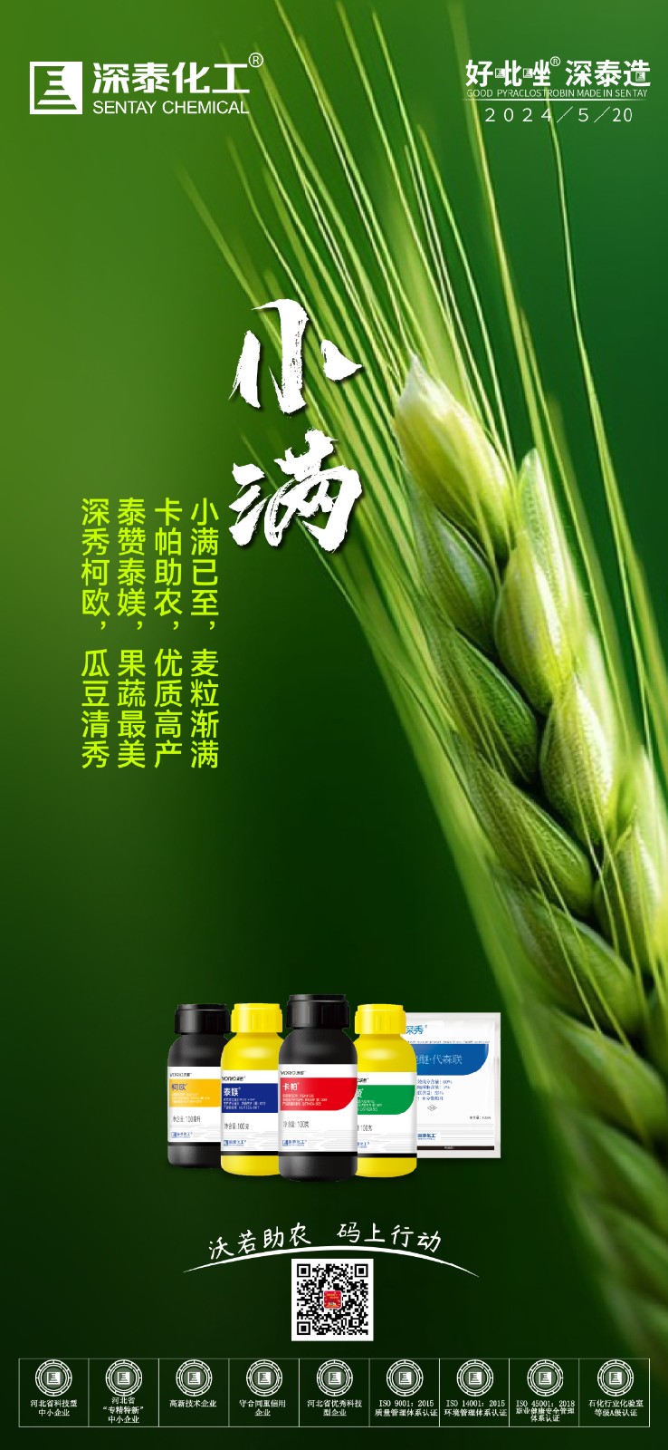 小满定555-01.jpg