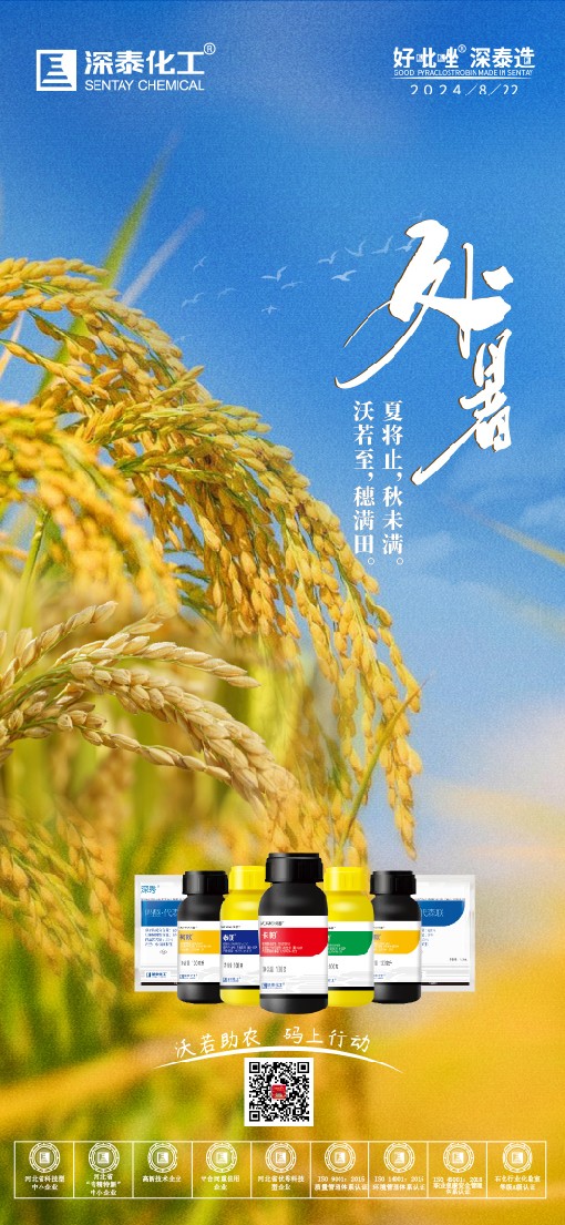 处暑-01.jpg