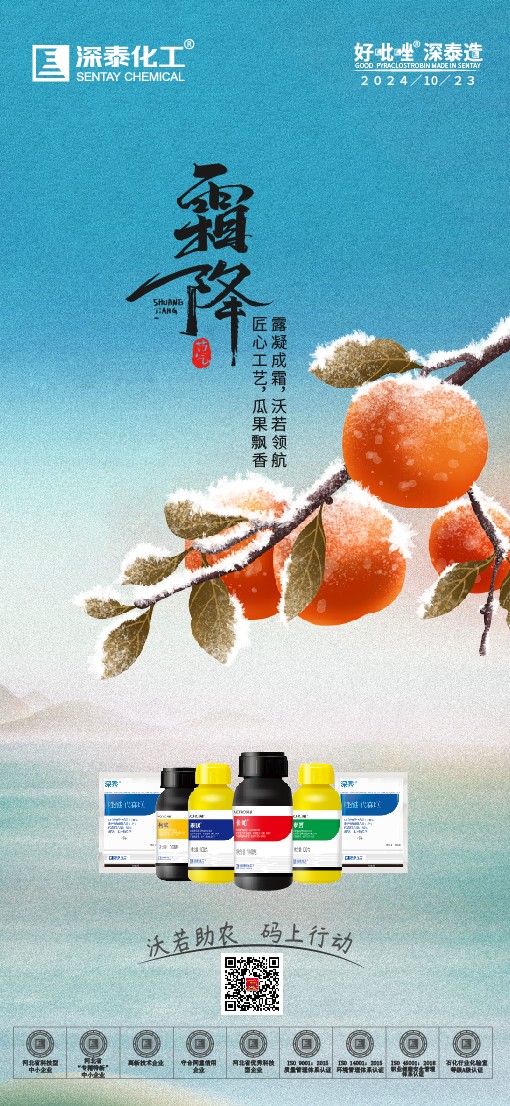 霜降0_画板 1 副本 8.jpg