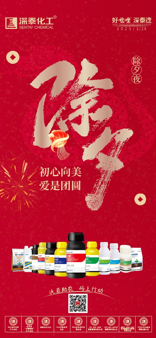 除夕1.28-01-01.jpg