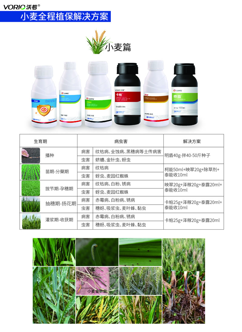 小麦解决方案.jpg
