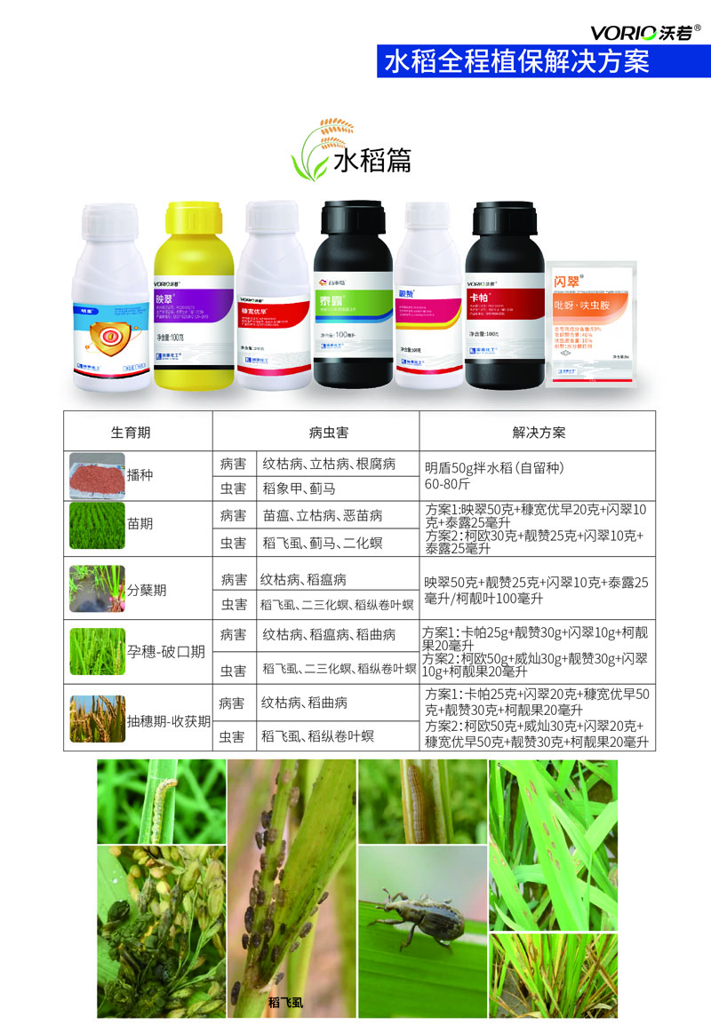 水稻解决方案.jpg