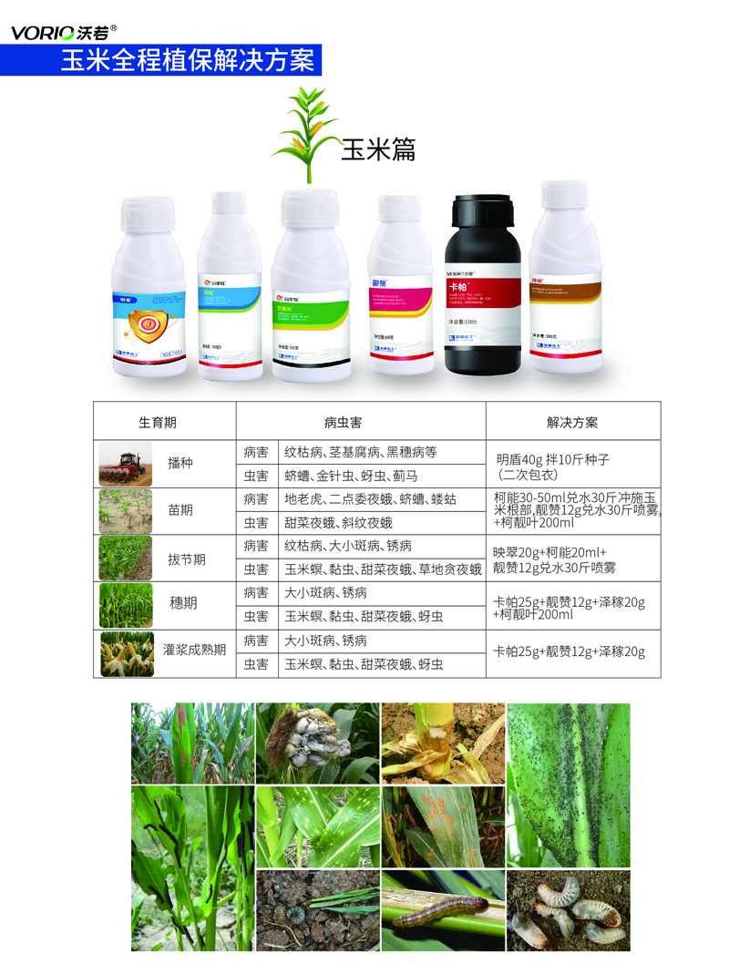 玉米解决方案.jpg