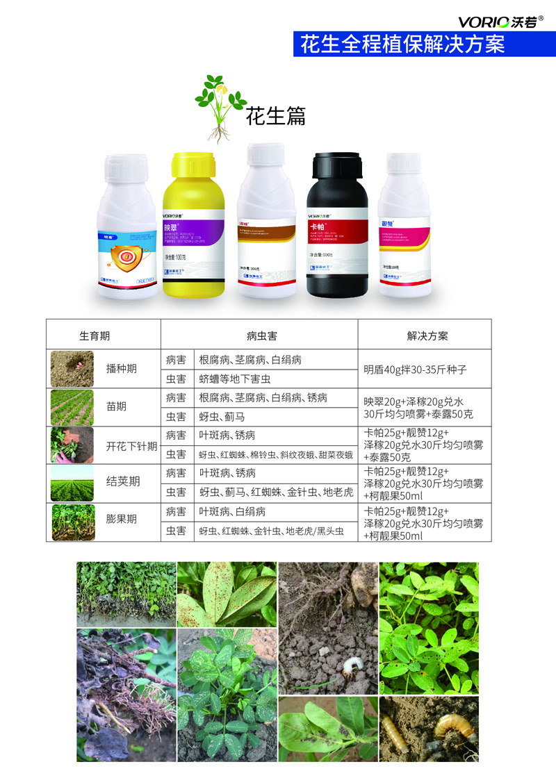 花生解决方案.jpg