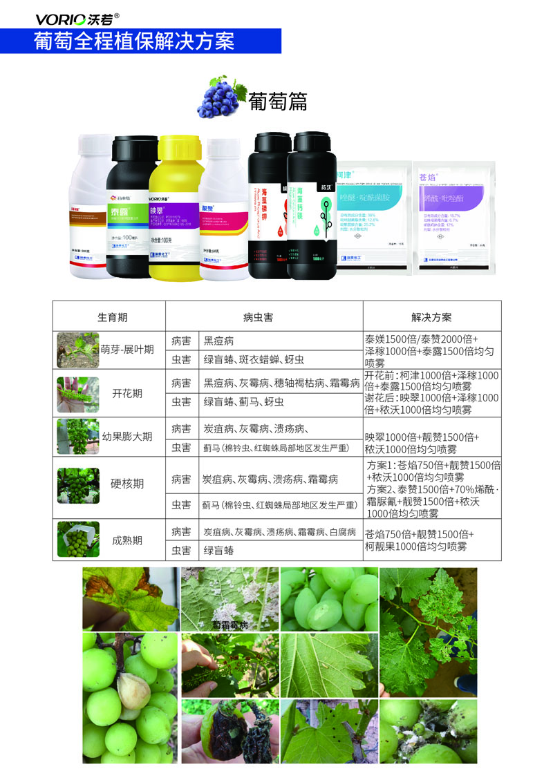 葡萄解决方案.jpg