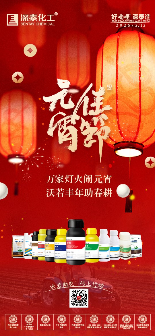 元宵2.12-01.jpg